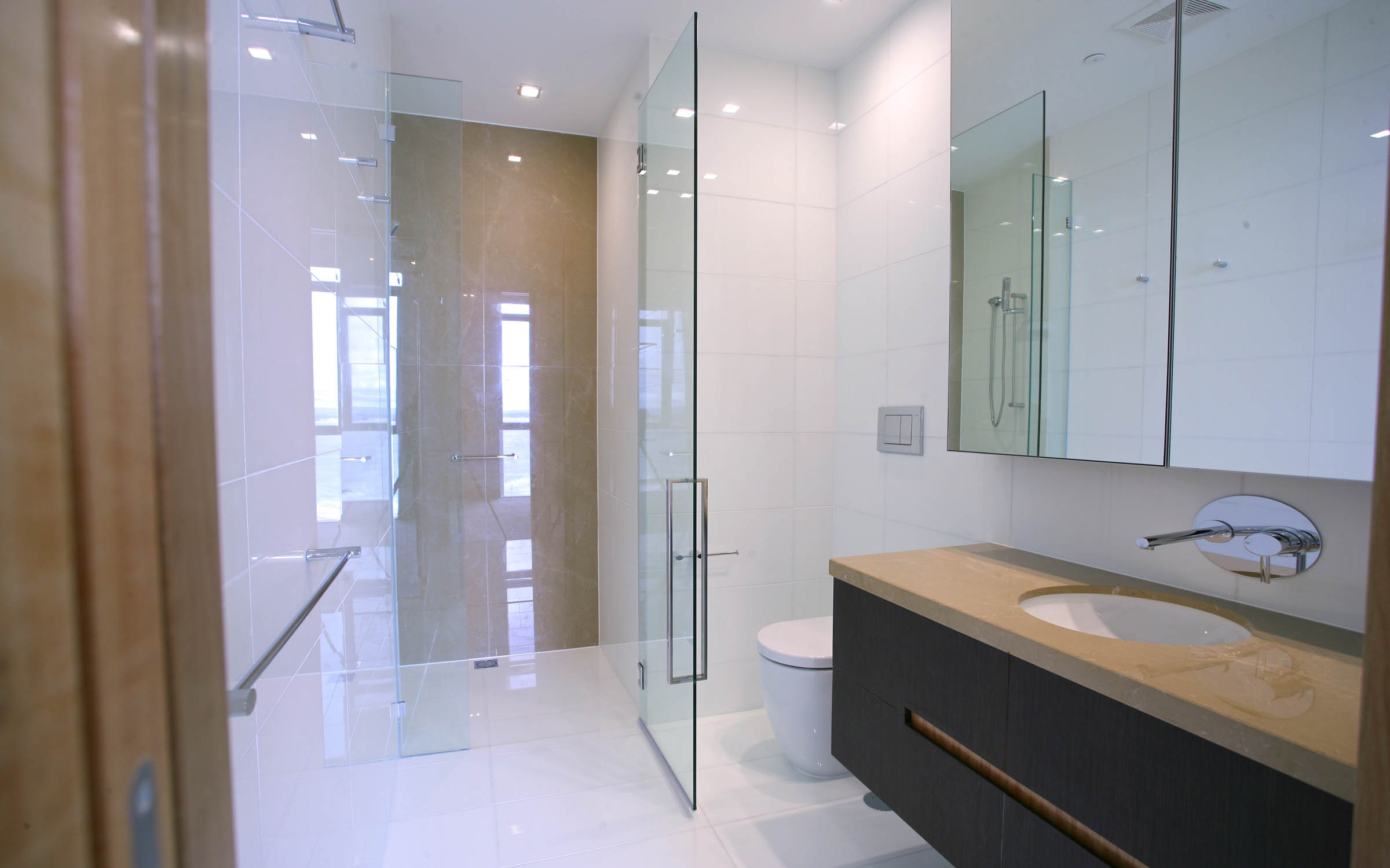 Class 2 to 9 multi-residential and commercial bathroom with frameless shower.