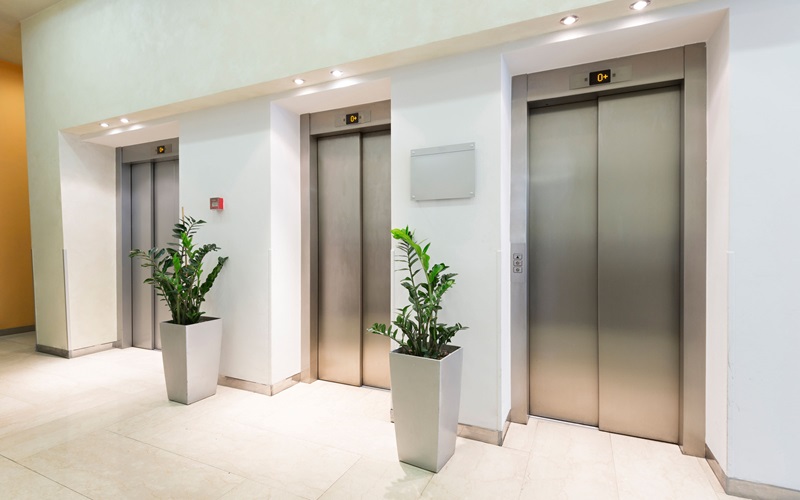 Three elevator doors with pot plants in between.